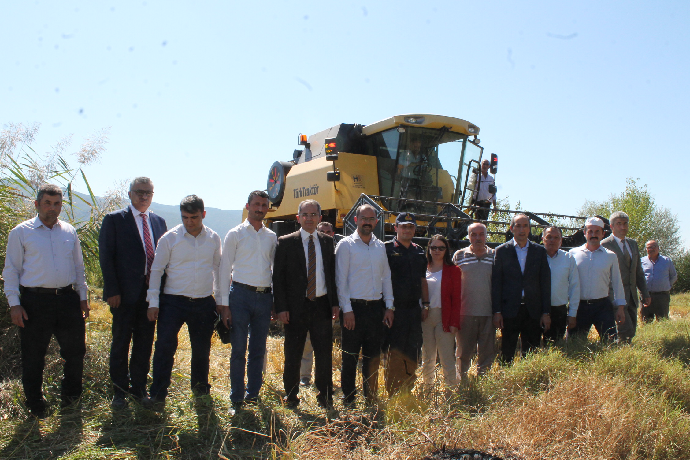 Tosya’da Pirinç Hasadı Başladı