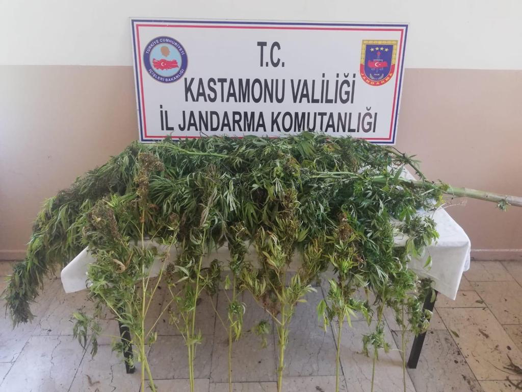Tosya’da uyuşturucu operasyonu, 2 gözaltı