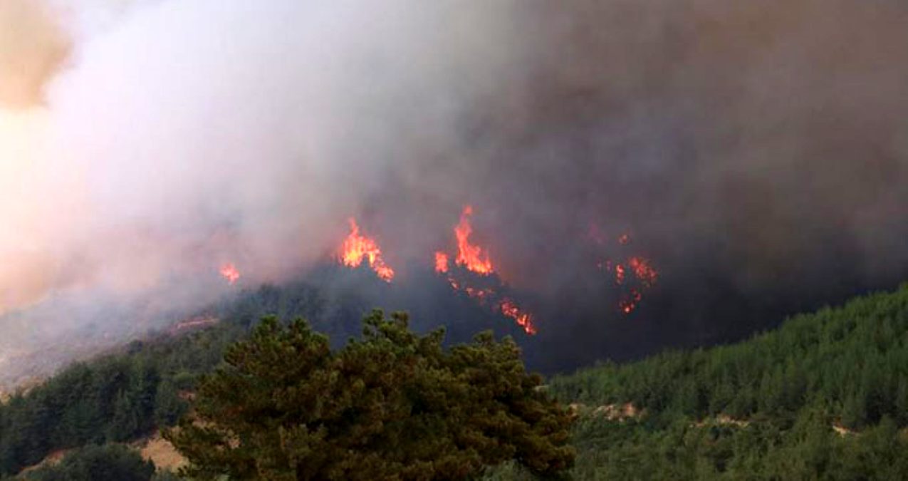 Yeşilgöl'de Yangın