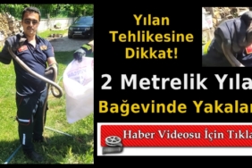 Eve Giren Yılanı İtfaiye Çavuşu Yakaladı