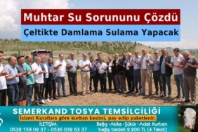 Çeltikte Damlama Sulama Dönemi