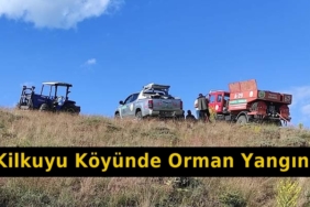 Ormanda Çıkan Yangın Korkuttu
