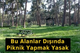 Tosya’da İzin Verilen Piknik Alanları