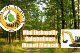 Mini Ekskavatör Çalıştırılması Hizmeti Alınacak
