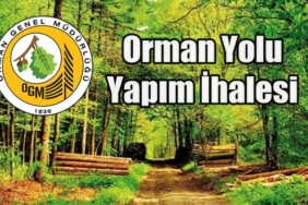Orman Yolu Yapım İhalesi
