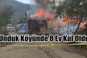 Tosya Unduk Köyünde Yangın!