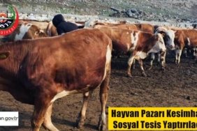 Hayvan Pazarı Kesimhane ve Sosyal Tesis Yaptırılacak