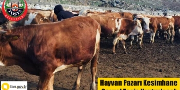 Hayvan Pazarı Kesimhane ve Sosyal Tesis Yaptırılacak