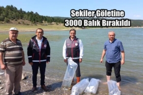 Sekiler Göleti’ne Sazan Bırakıldı