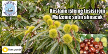 Kestane işleme tesisi için malzeme satın alınacak