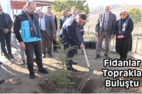 Tosya’da Fidanlar Toprakla Buluştu