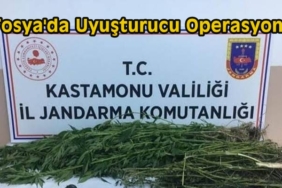 Tosya’da Uyuşturucu Operasyonu