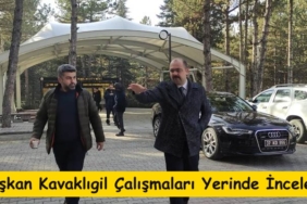 Tosya Asri Mezarlıkta Çalışmalar Aralıksız Devam Ediyor