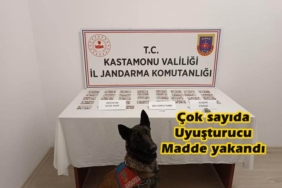 Tosya’da Uyuşturucu Yakalandı, 1 Tutuklama