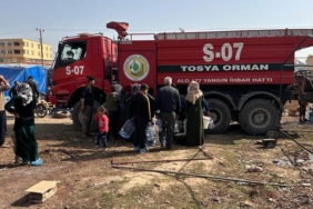 Tosya Orman Ekibi Çalışmalarına Devam Ediyor