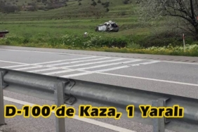 D-100’de Kaza, 1 Yaralı