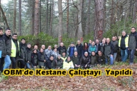 Orman Bölge Müdürlüğünde Kestane Çalıştayı  Yapıldı