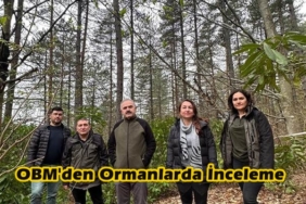 Ormanlar Bal Üretiminin Merkezi Oluyor