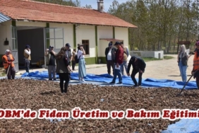 OBM’de Fidan Üretim ve Bakım Eğitimi