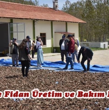 OBM’de Fidan Üretim ve Bakım Eğitimi