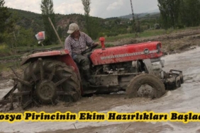 Tosya Pirincinin Ekim Hazırlıkları Başladı