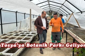 Tosya’ya Botanik Parkı Geliyor
