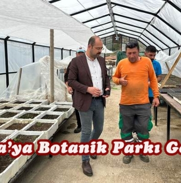 Tosya’ya Botanik Parkı Geliyor