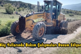 Köy Yollarında Bakım Çalışmaları Devam Ediyor