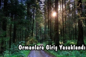 Ormanlara Giriş Yasaklandı