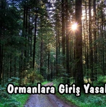 Ormanlara Giriş Yasaklandı