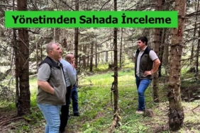 Yönetimden Sahada İnceleme