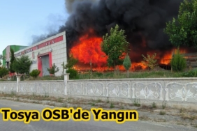 Organize Sanayi Bölgesinde Yangın