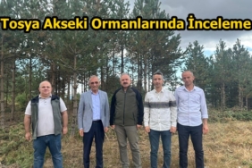 Kastamonu Orman Bölge Müdüründen Tosya Akseki Ormanlarında İnceleme