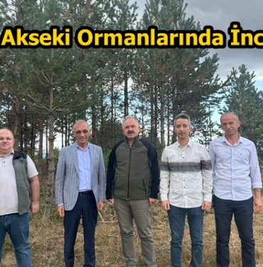 Kastamonu Orman Bölge Müdüründen Tosya Akseki Ormanlarında İnceleme