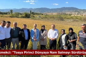 Milletvekili Ekmekci: Tosya Pirinci Dünyaya Nam Salmayı Sürdürüyor!