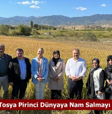Milletvekili Ekmekci: Tosya Pirinci Dünyaya Nam Salmayı Sürdürüyor!