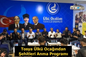 Tosya Ülkü Ocağından Şehitleri Anma Programı