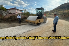 Tosya Belediyesinden Bağ Yollarına Asfalt Kaplama