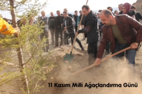 11 Kasım Milli Ağaçlandırma Gününde Fidanlar Toprakla Buluştu