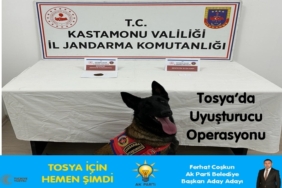 Jandarmadan Tosya’da Uyuşturucu Operasyonu