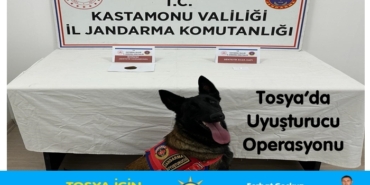 Jandarmadan Tosya’da Uyuşturucu Operasyonu