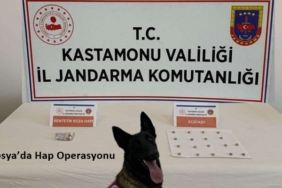 Jandarmadan Tosya’da Hap Operasyonu