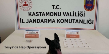 Jandarmadan Tosya’da Hap Operasyonu