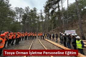 Tosya Orman İşletme Personeline Eğitim