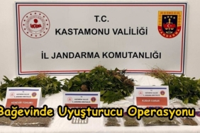 Bağevinde Uyuşturucu Operasyonu, 1 Tutuklama