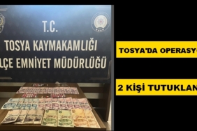 Tosya’da Operasyon, 2 Kişi Tutuklandı