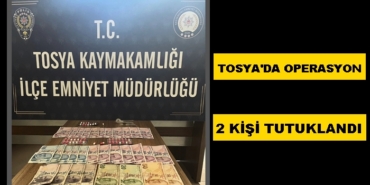 Tosya’da Operasyon, 2 Kişi Tutuklandı