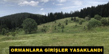 Ormanlara Girişler Yasaklandı