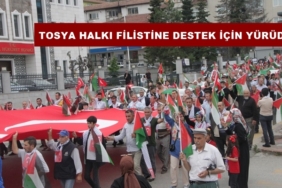 Tosya Halkı Filistine Destek İçin Yürüdü