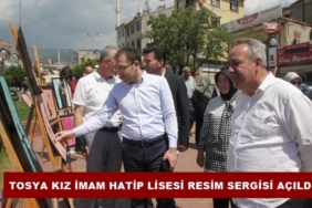 Tosya Kız İmam Hatip Lisesi Resim Sergisi Açıldı